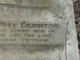 image of grave number 292150